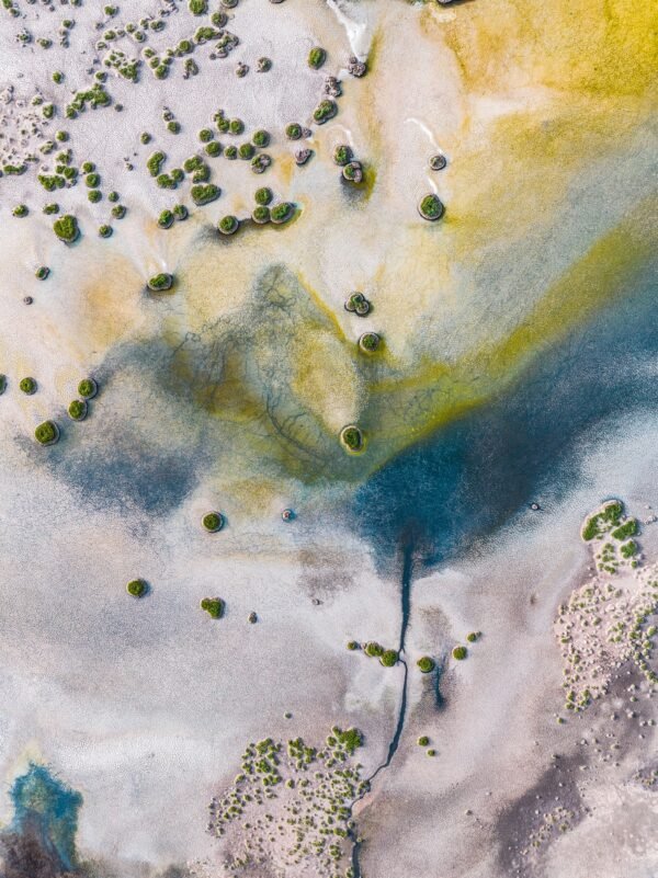 Wetlands Series - Salt Colors