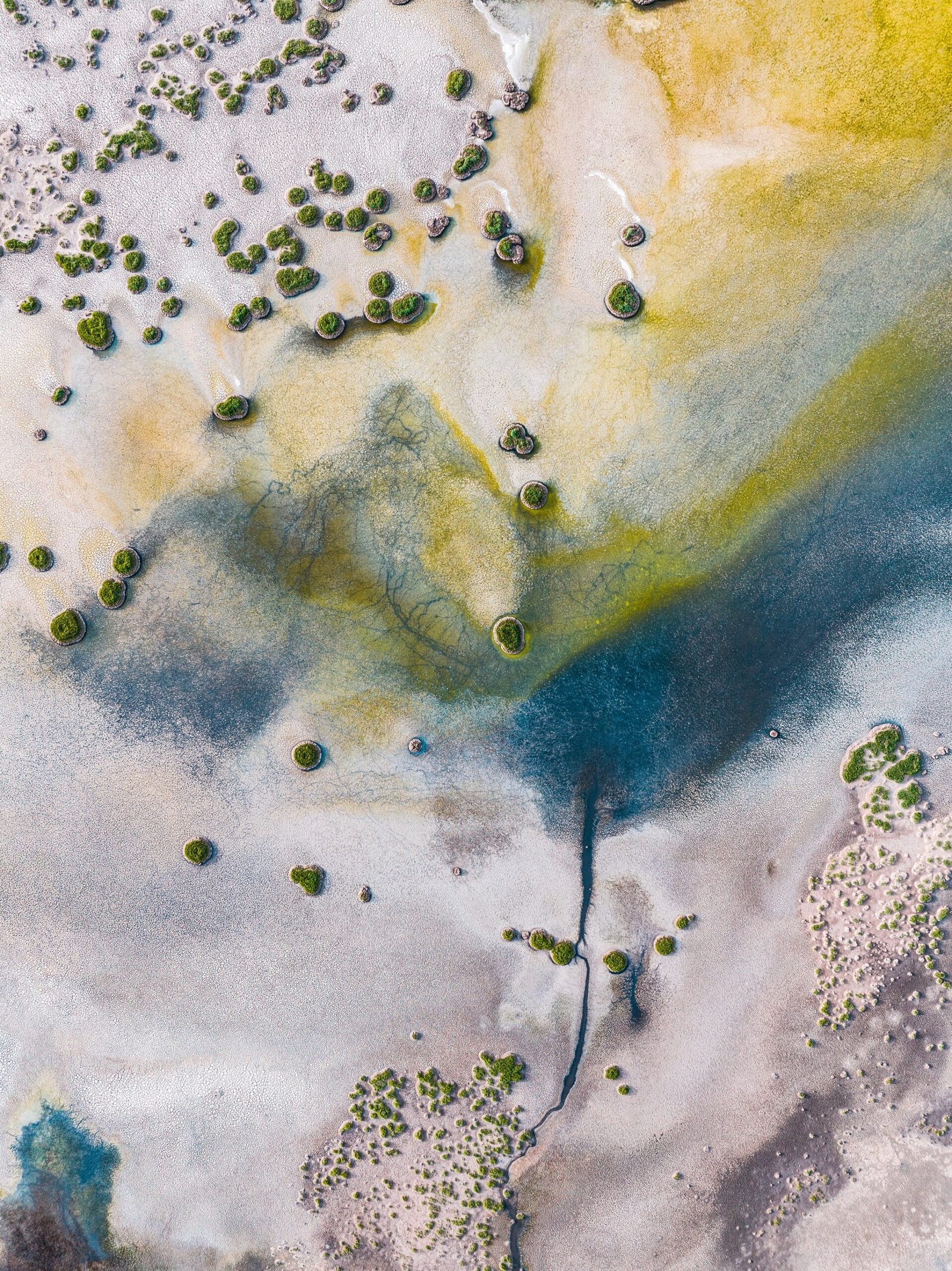 Wetlands Series - Salt Colors