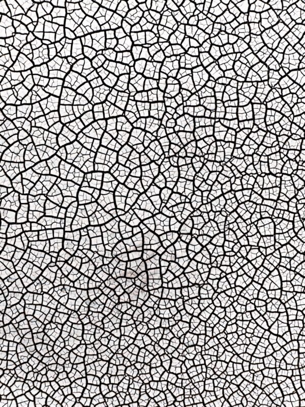 Wetlands Series - Crack