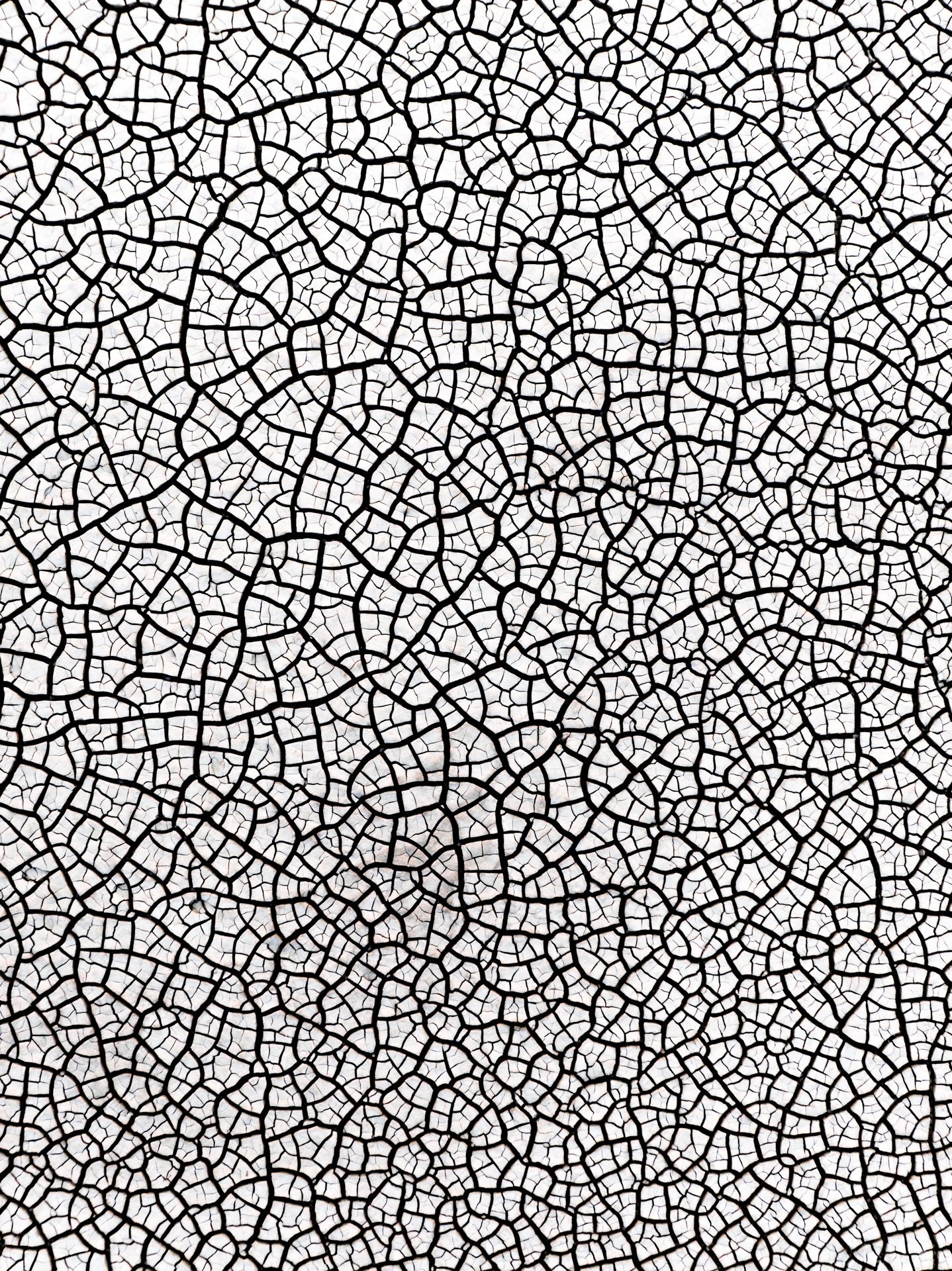 Wetlands Series - Crack