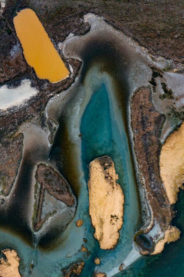 Wetlands Series - Shapes