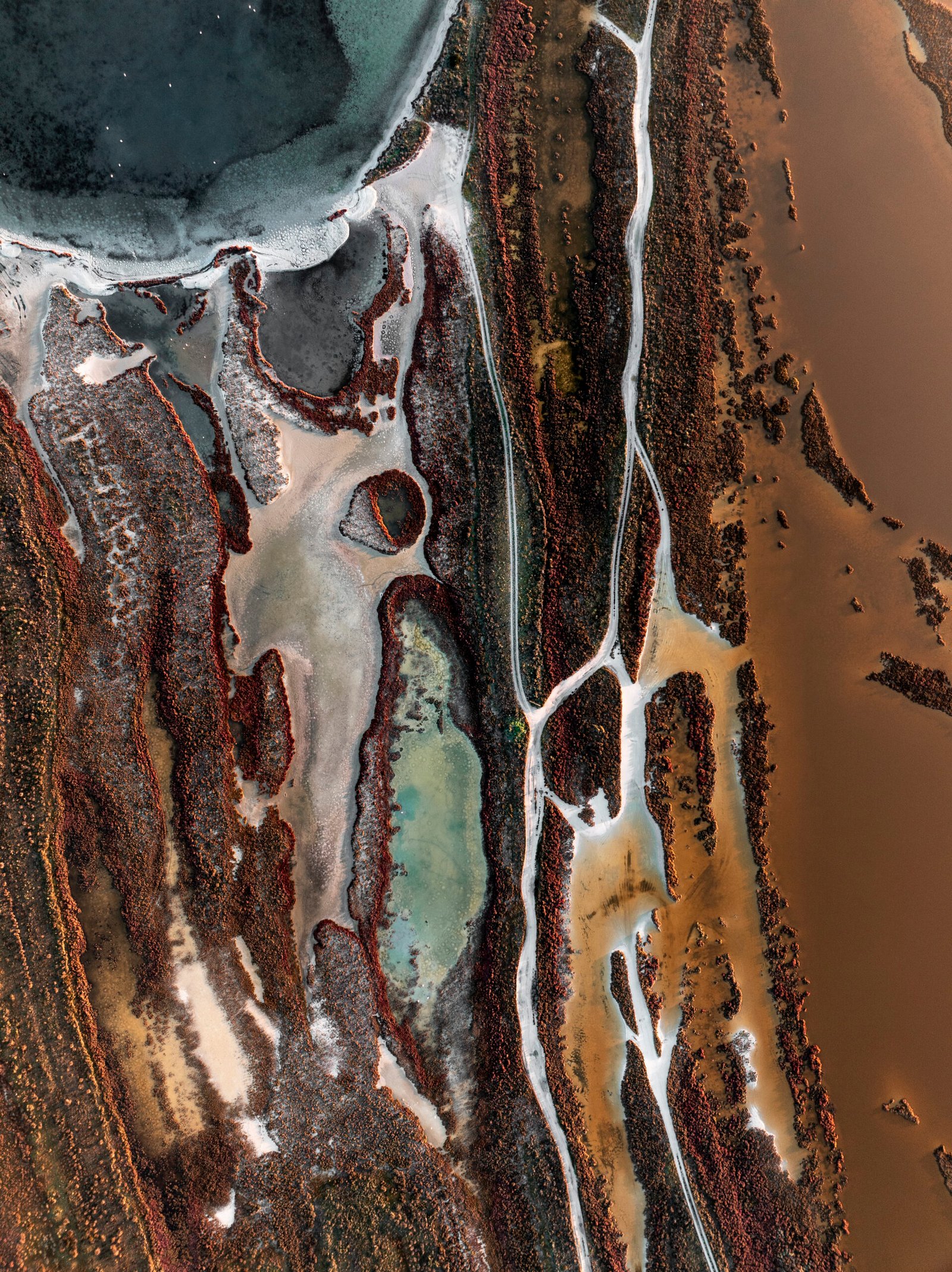 Wetlands Series - Mistras II