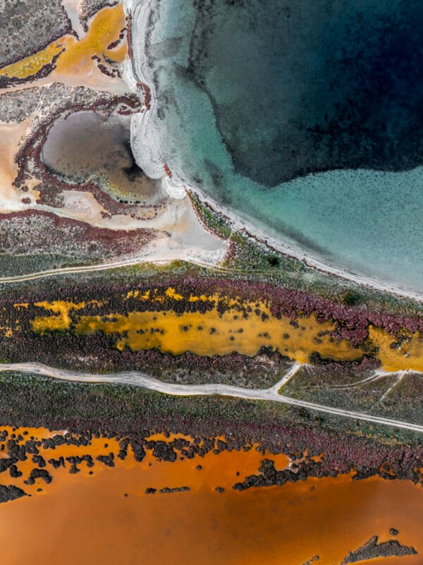 Wetlands Series - Mistras