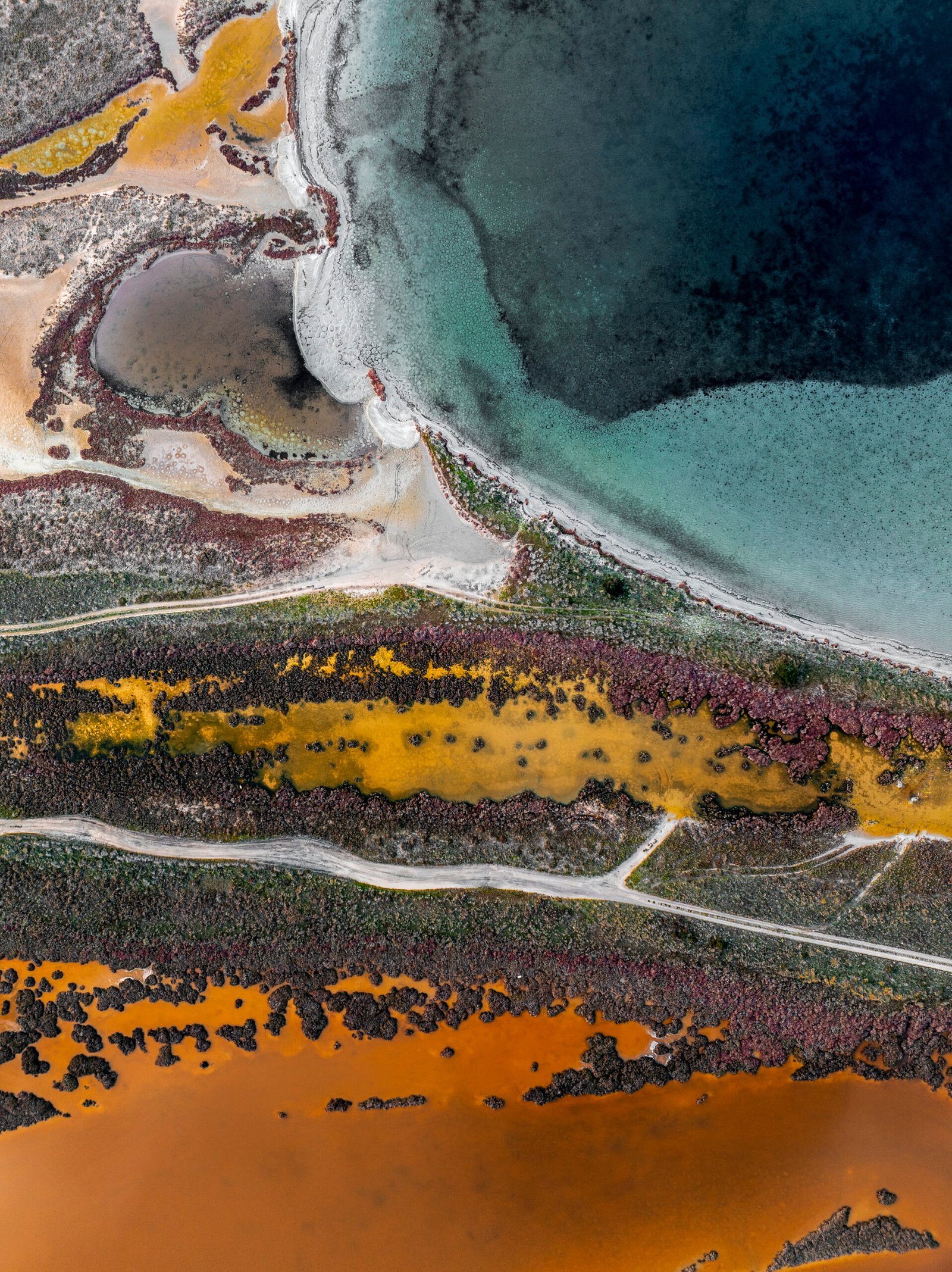 Wetlands Series - Mistras