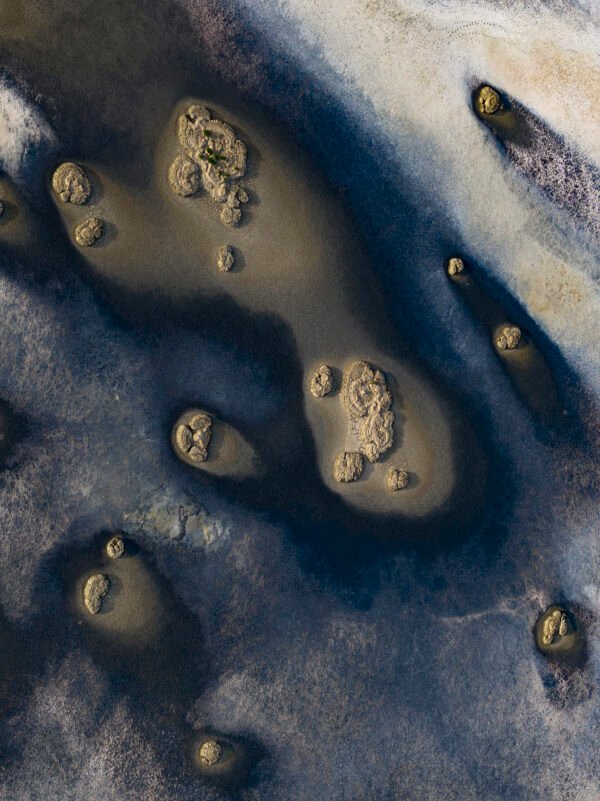 Wetlands Series - Blu